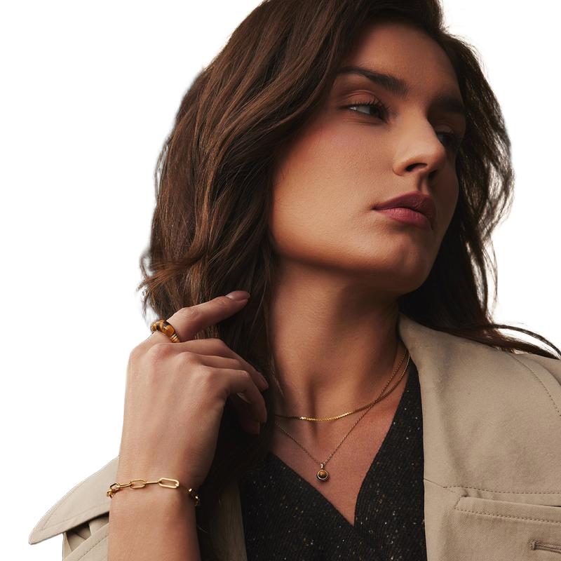 Ania Haie Elegant Gold Flat S-Link Chain Necklace
