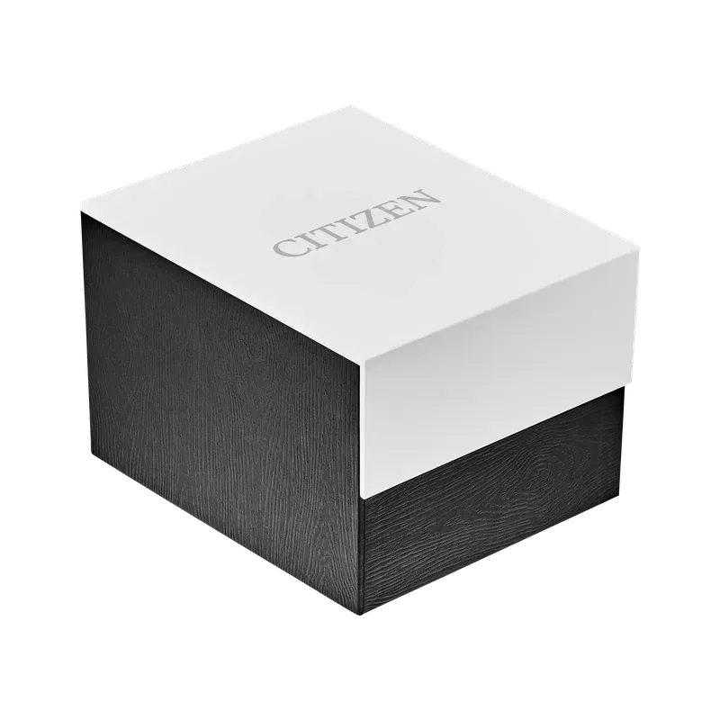 Citizen Gold-Tone Stainless Steel Women's Black Dial Watch