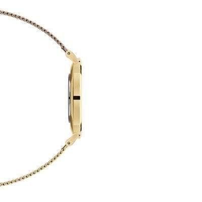 Side profile of Daniel Wellington Petite Evergold 36mm watch with slim gold stainless steel mesh strap.