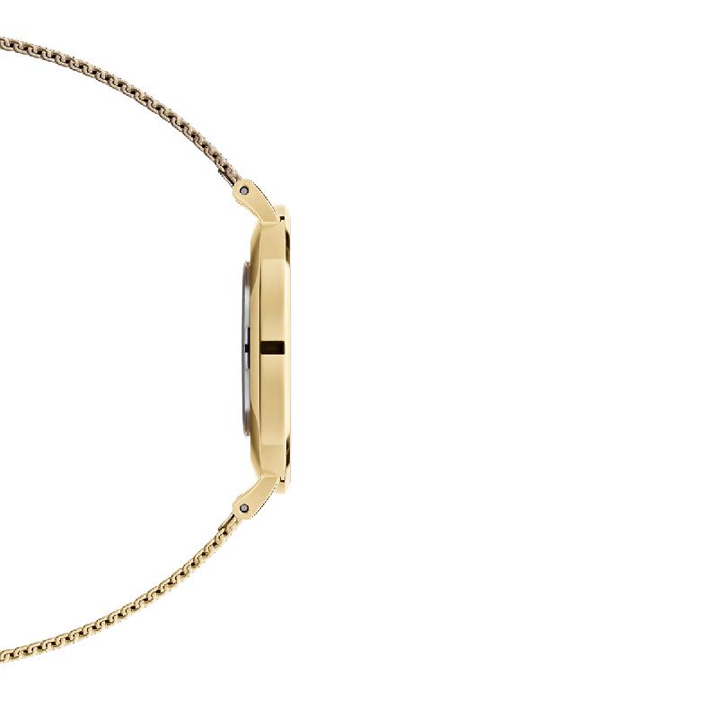 Side profile of Daniel Wellington Petite Evergold 36mm watch with slim gold stainless steel case and elegant mesh strap.