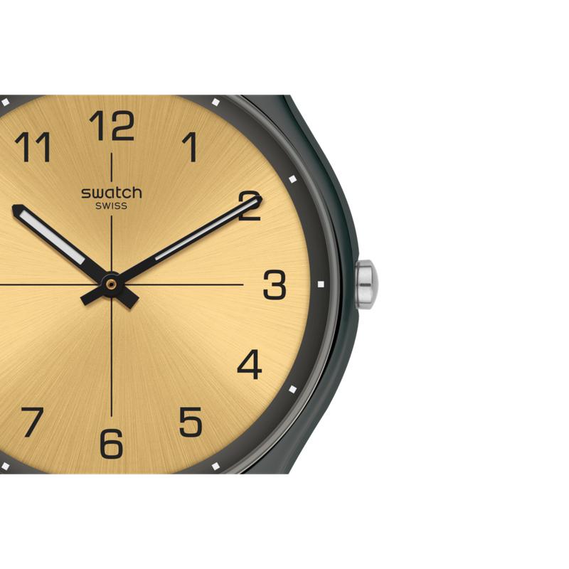 Swatch TROVALIZED Watch SS07M101