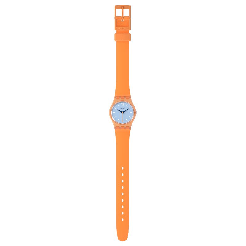 Swatch VIEW FROM A MESA Watch LO116