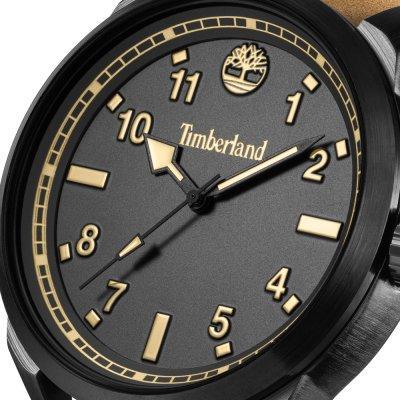 Timberland Henniker TDWGA0109701 Men's Quartz Watch