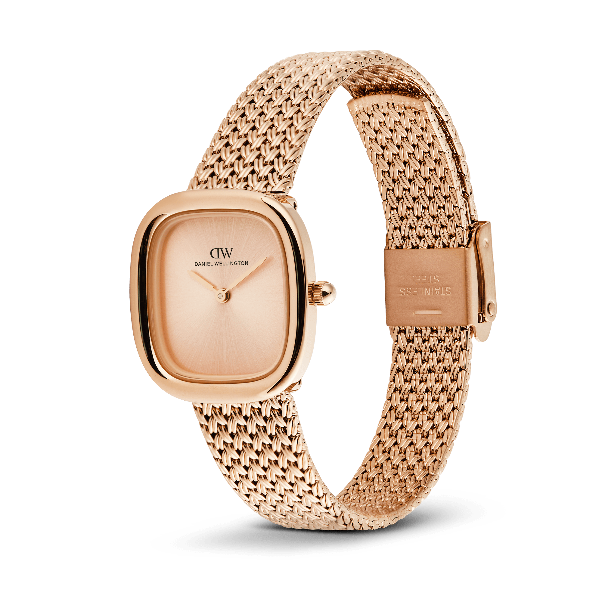 Daniel Wellington DW00100965 Women's Watch