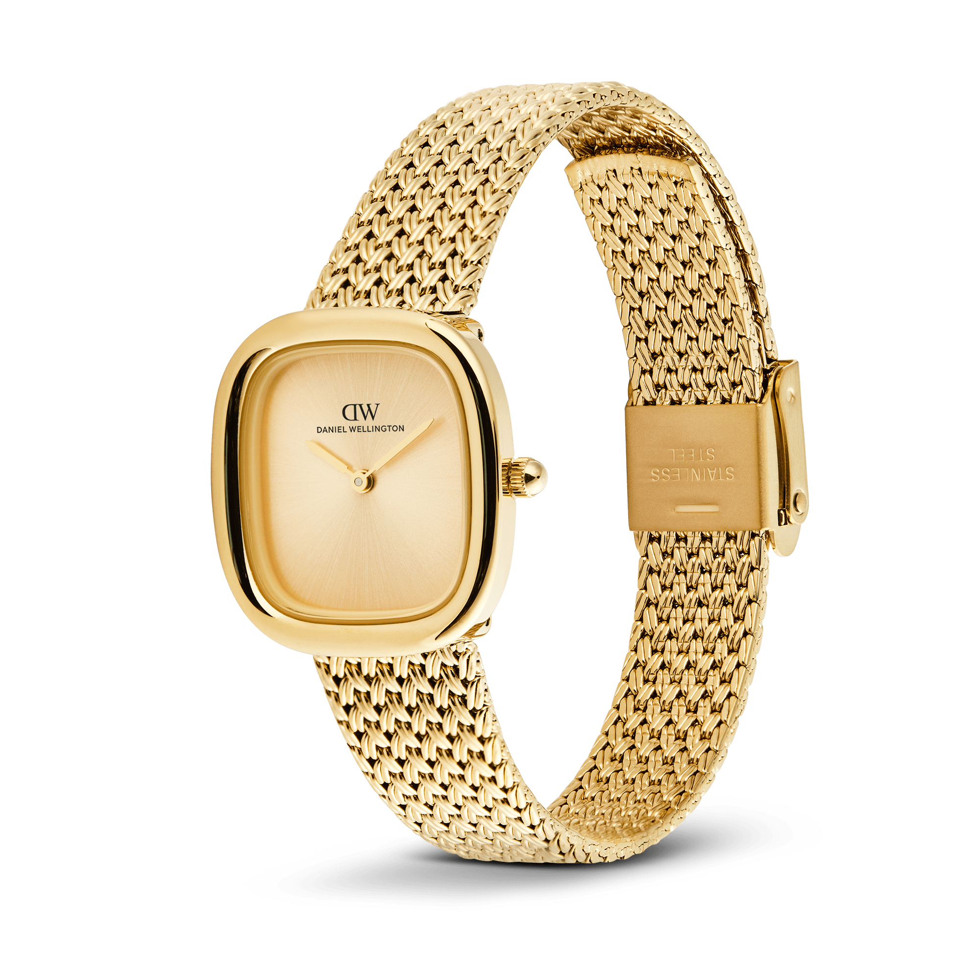 Daniel Wellington DW00100964 Women's Watch