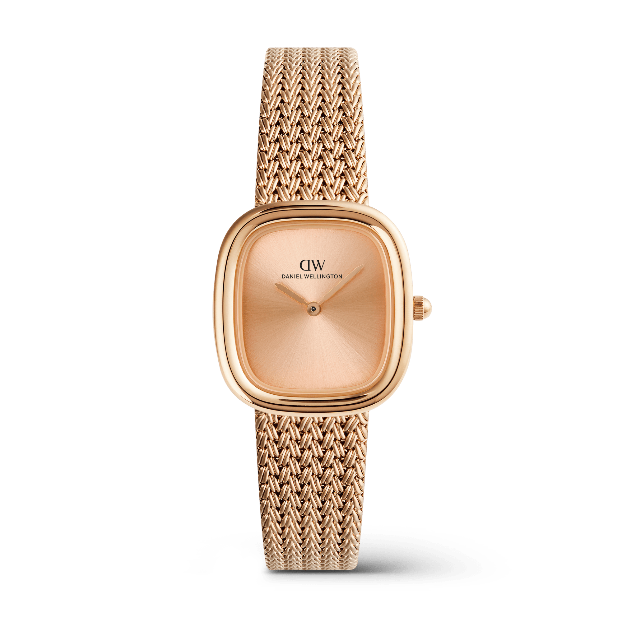 Daniel Wellington DW00100965 Women's Watch