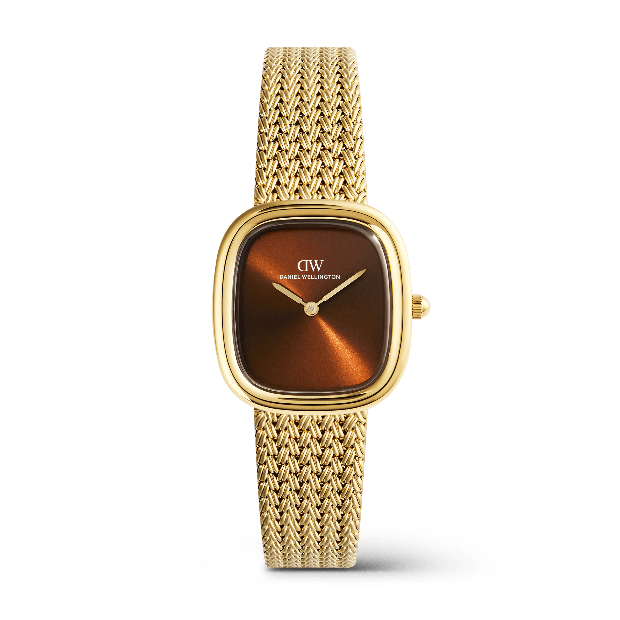 Daniel Wellington DW00100968 Women's Watch