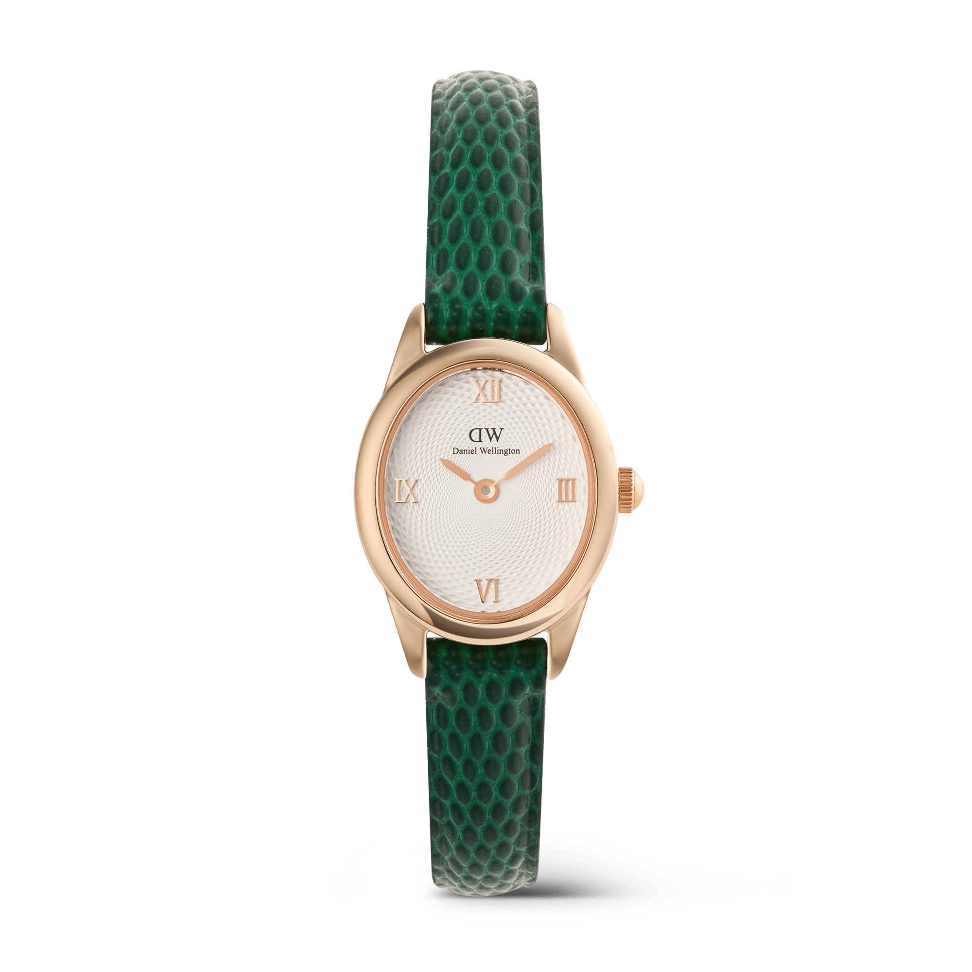 Daniel Wellington DW00100895 Women's Watch