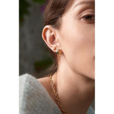 Ania Haie Gold Sparkle Chubby Huggie Hoop Earrings