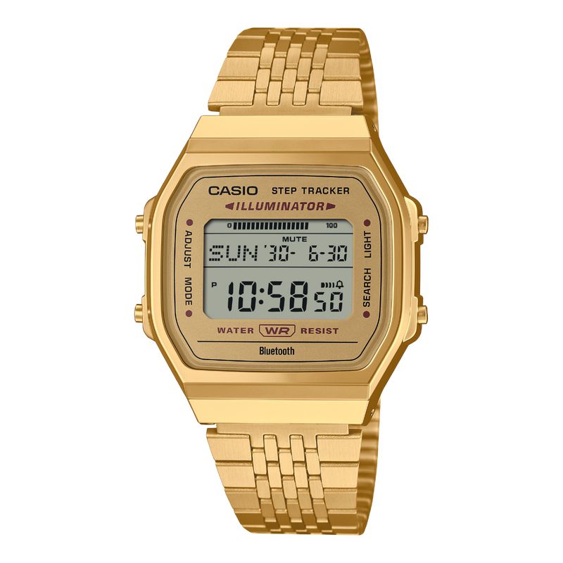 CASIO VINTAGE - ABL-100WEG-9ADF