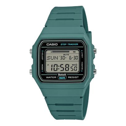 Casio F-B100W-3A Watch