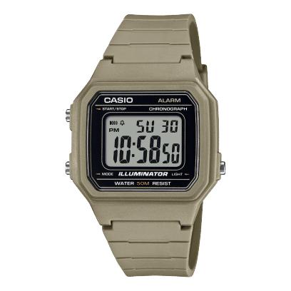 Casio W-217H-5AV Watch