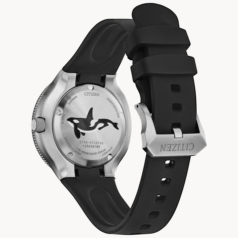 Citizen Promaster Marine Black Dial Date Watch