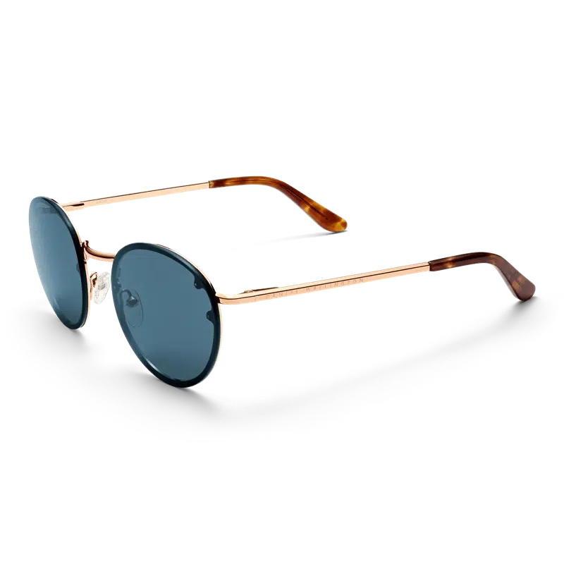 Daniel Wellington Arch Steel Sunglasses