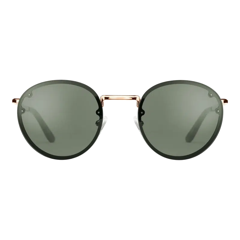 Daniel Wellington Arch Steel Sunglasses