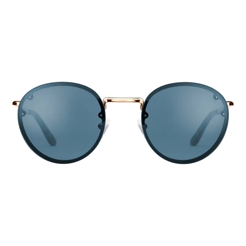 Daniel Wellington Arch Steel Sunglasses