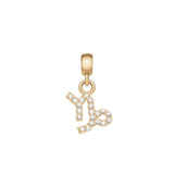 Daniel Wellington Crystal Capricorn Zodiac Charm Gold