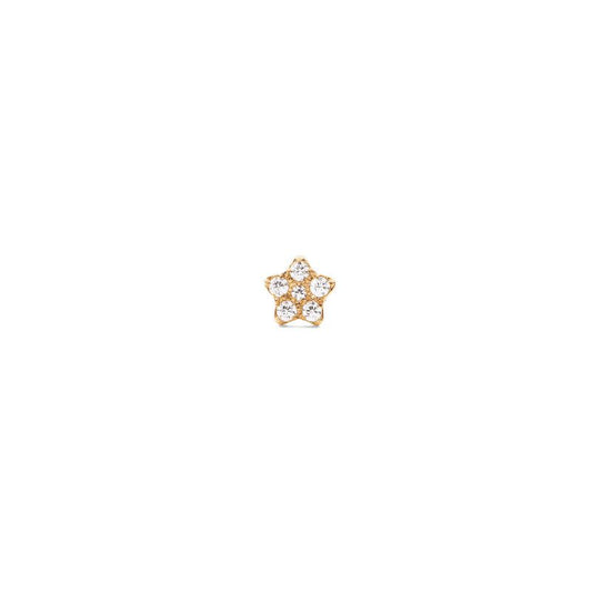 Daniel Wellington Crystal Star Stud Gold