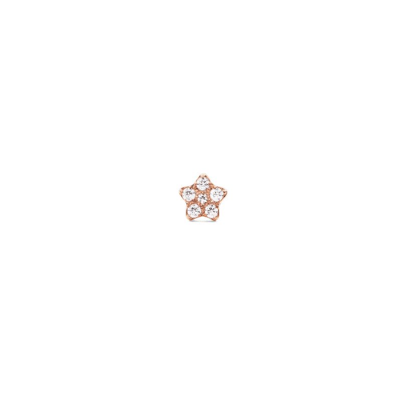 Daniel Wellington Crystal Star Stud Rose Gold