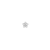 Daniel Wellington Crystal Star Stud Silver