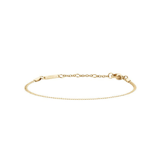 Daniel Wellington Elan Flat Chain Bracelet Gold