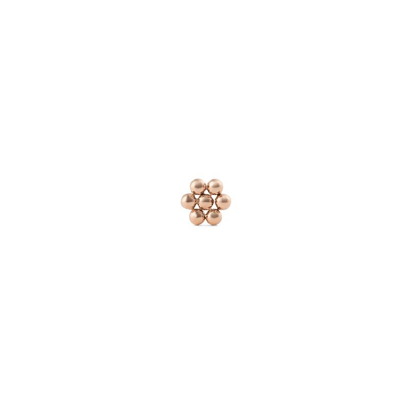 Daniel Wellington Flower Stud Rose Gold