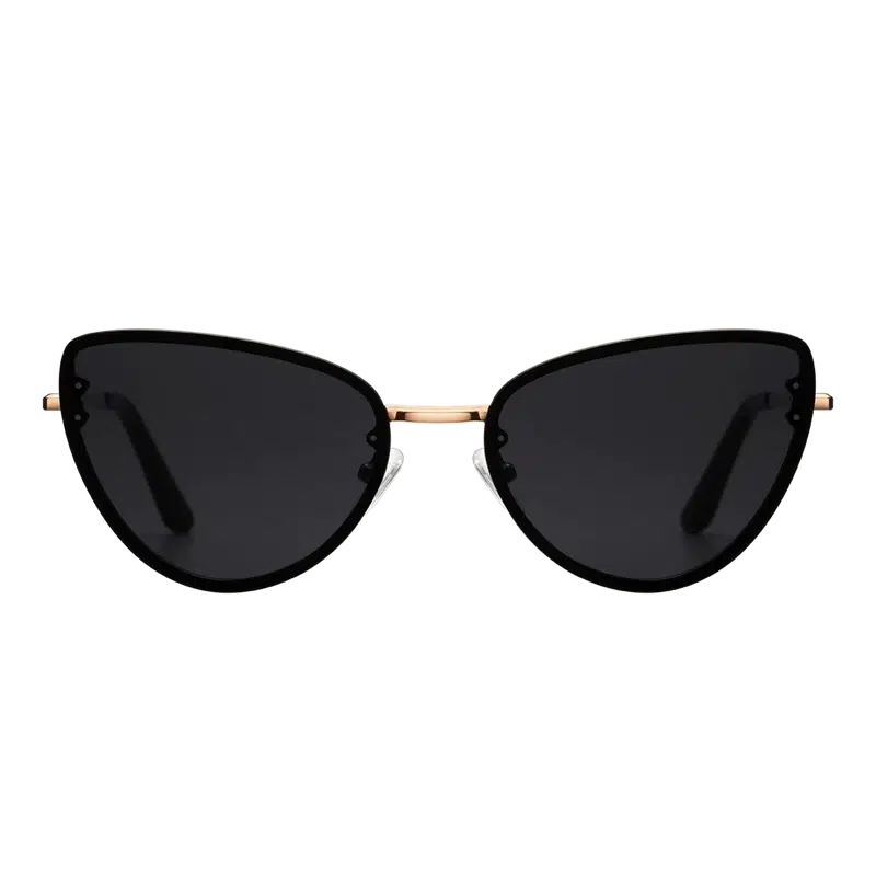 Daniel Wellington Lynx Steel Sunglasses