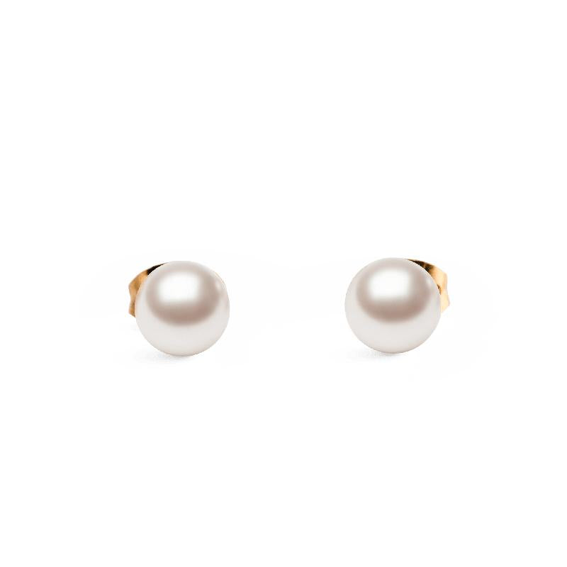 Daniel Wellington Pearl Stud Earring Rose Gold