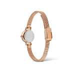 Daniel Wellington Petite Mini Blush Melrose Watch 19mm