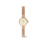 Daniel Wellington Petite Mini Champagne Melrose Watch 19mm