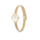 Daniel Wellington Petite Mini White Evergold Watch 19mm