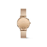 Daniel Wellington Petite Reflection Rose Gold