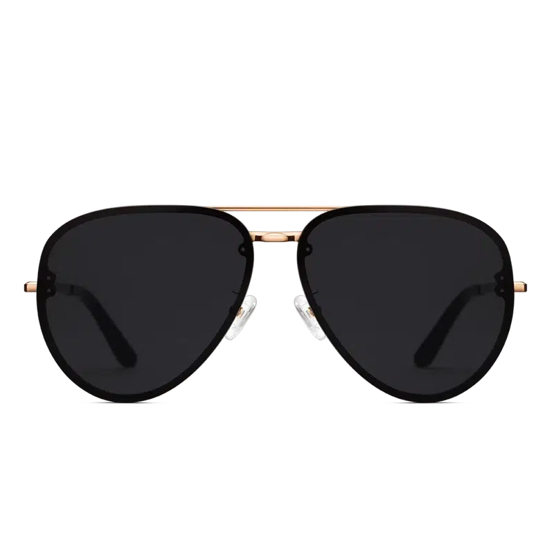 Daniel Wellington Steel Avion Sunglasses