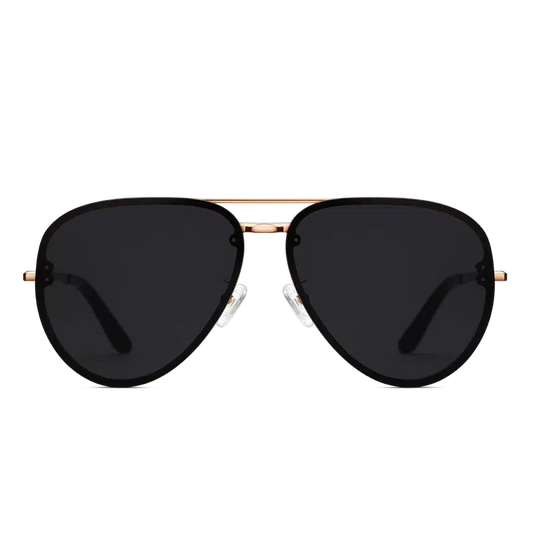 Daniel Wellington Steel Avion Sunglasses