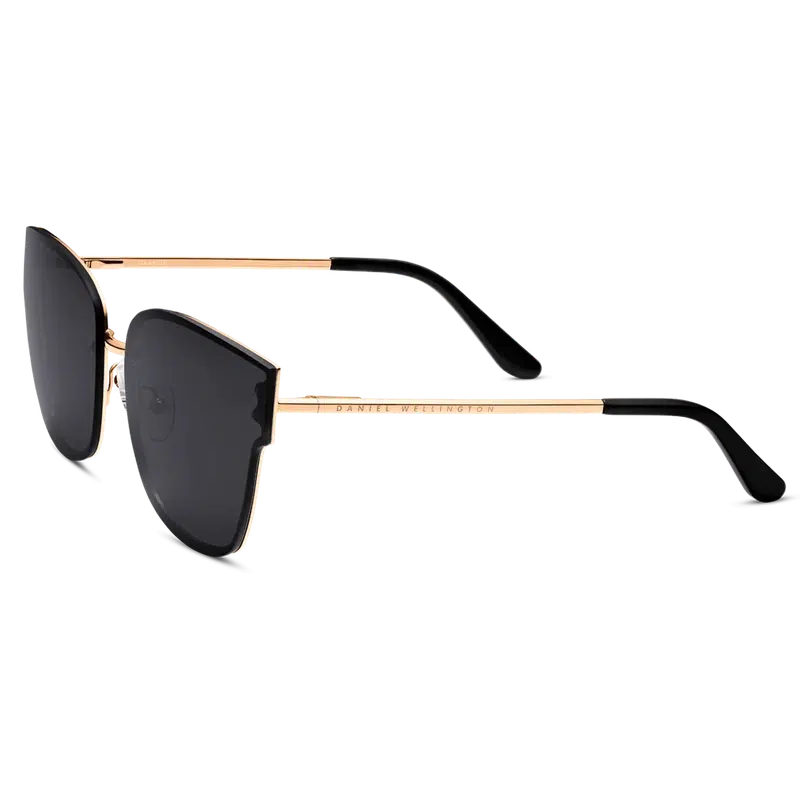 Daniel Wellington Steel Grande Sunglasses