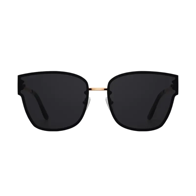 Daniel Wellington Steel Grande Sunglasses