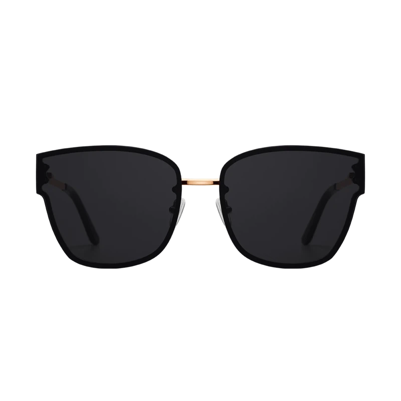 Daniel Wellington Steel Grande Sunglasses