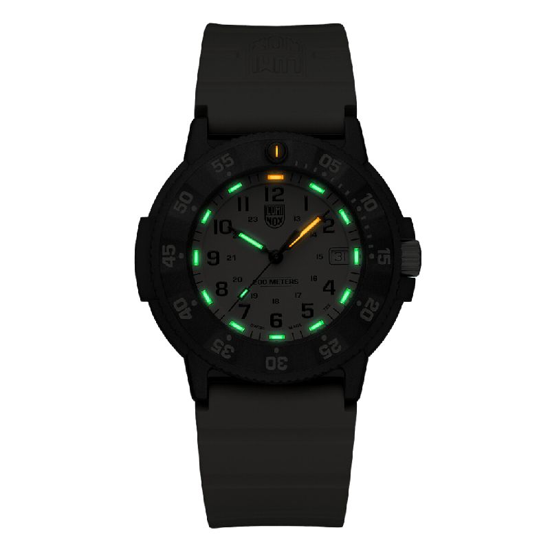 Luminox Original Navy SEAL XS.3010.EVO.S