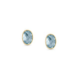 Nomination Oval Facet CZ YG Stud Earrings L.Blue