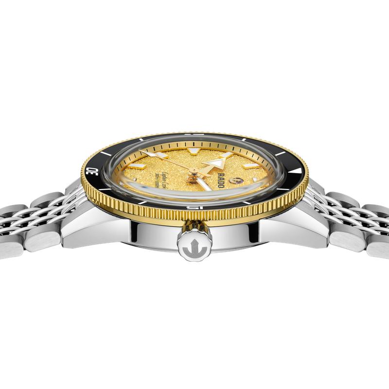 Rado Captain Cook Automatic Watch R32223258