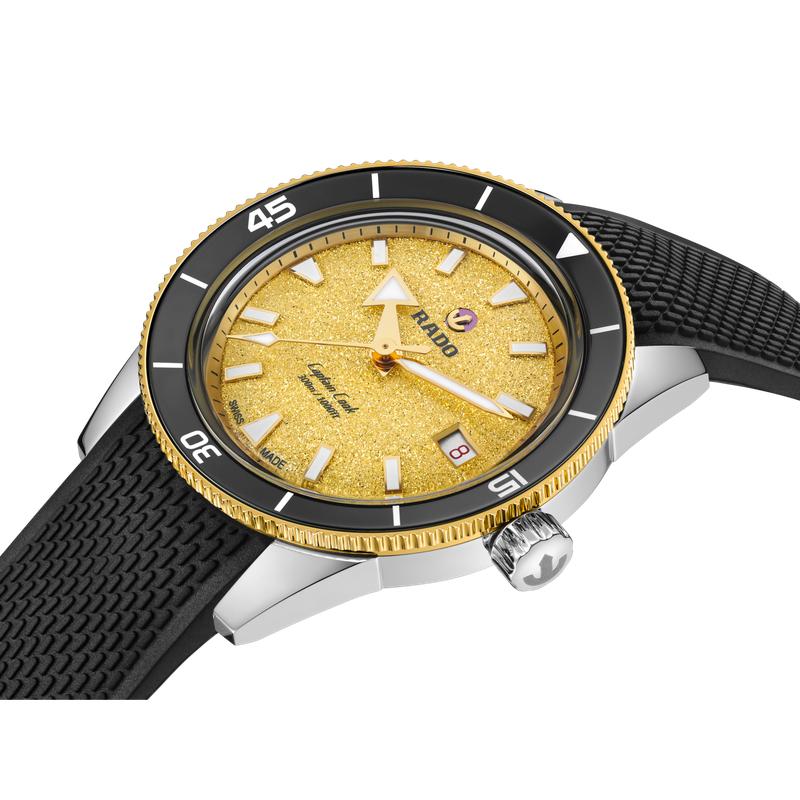 Rado Captain Cook Automatic Watch R32223258