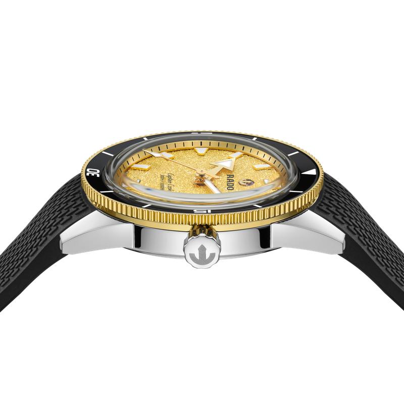 Rado Captain Cook Automatic Watch R32223258