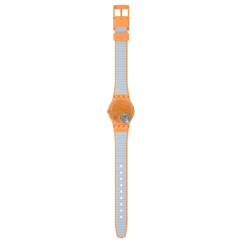 Swatch VIEW FROM A MESA Watch LO116