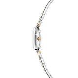 Ted Baker Ladies Two-Tone Stainless Steel Watch