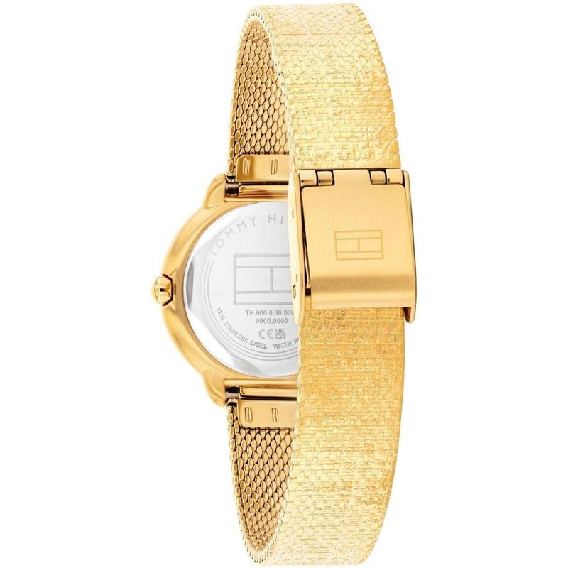 Tommy Hilfiger Demi Men's Watch