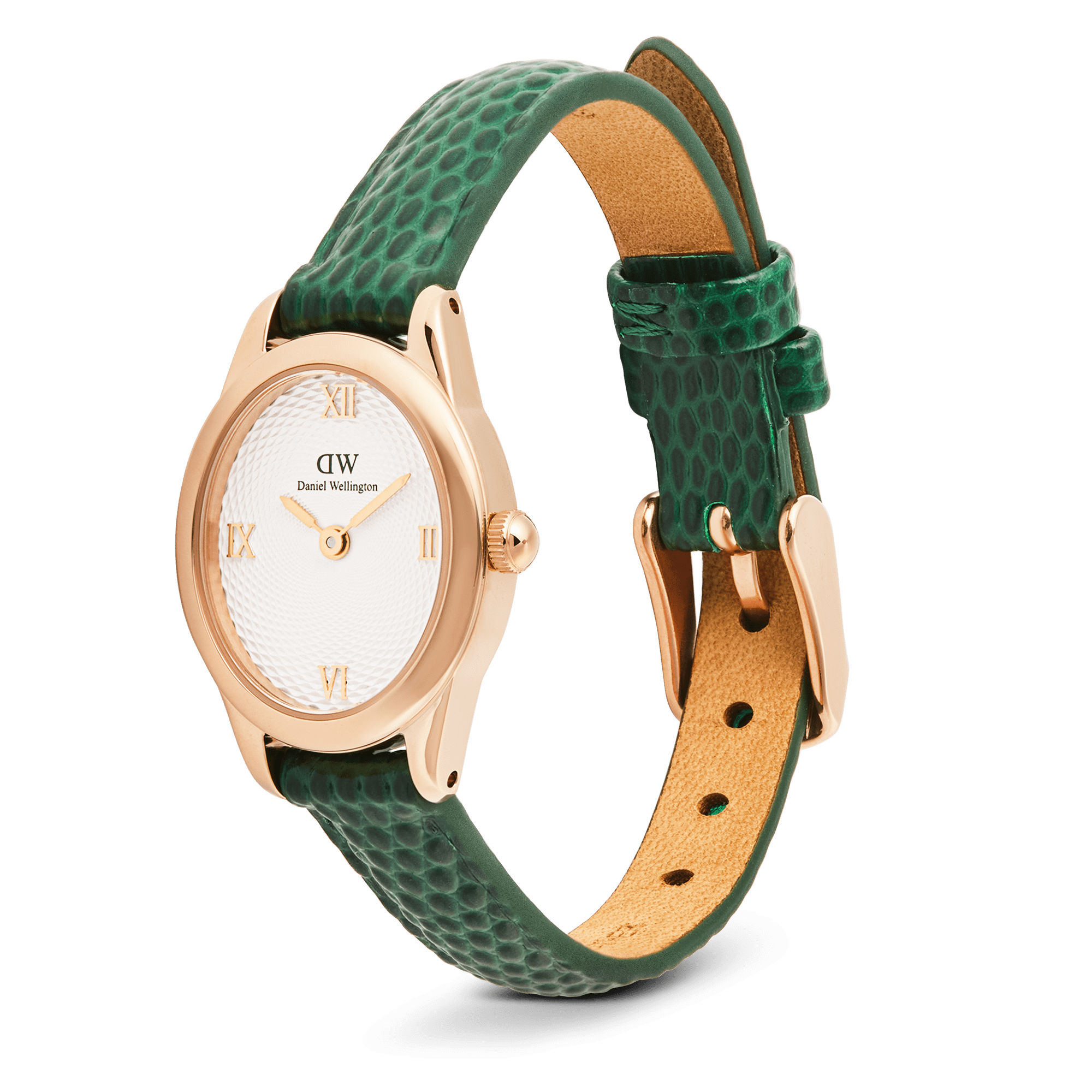 Daniel Wellington DW00100895 Women's Watch