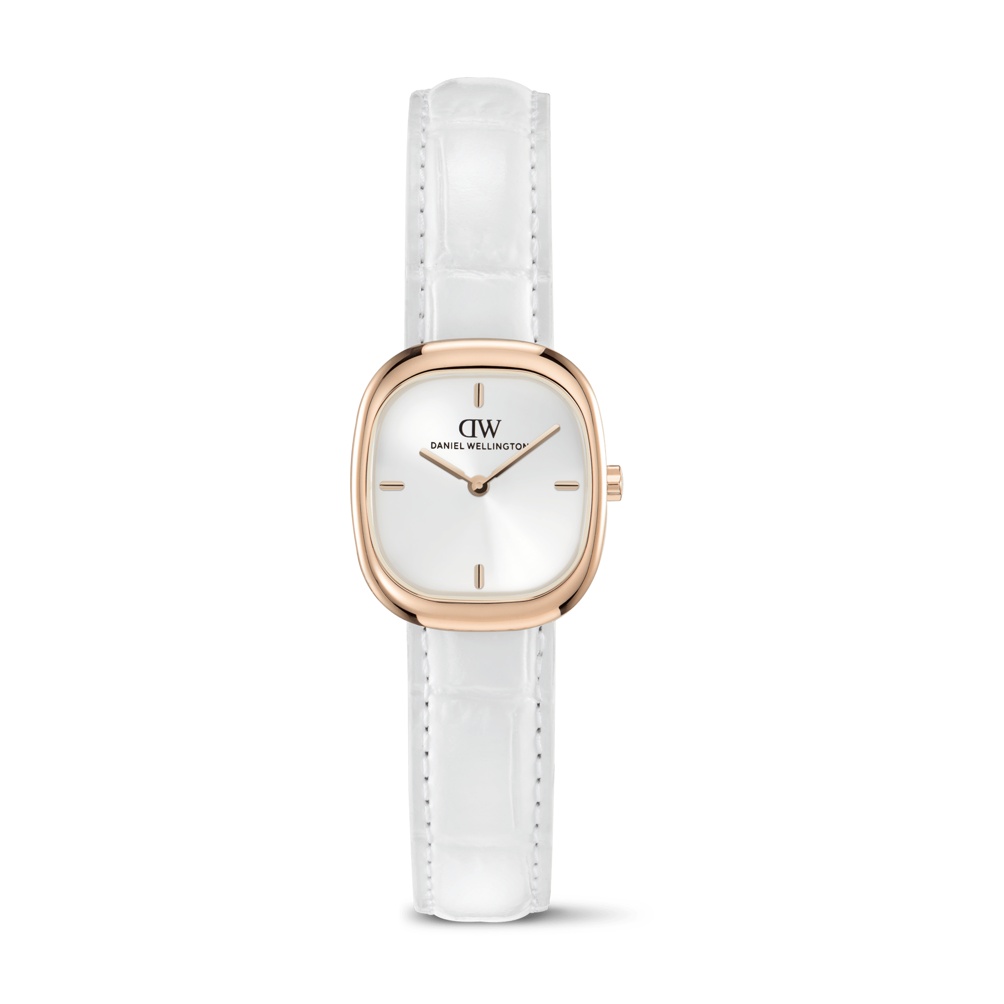 Daniel Wellington DW00100994 Women's Watch