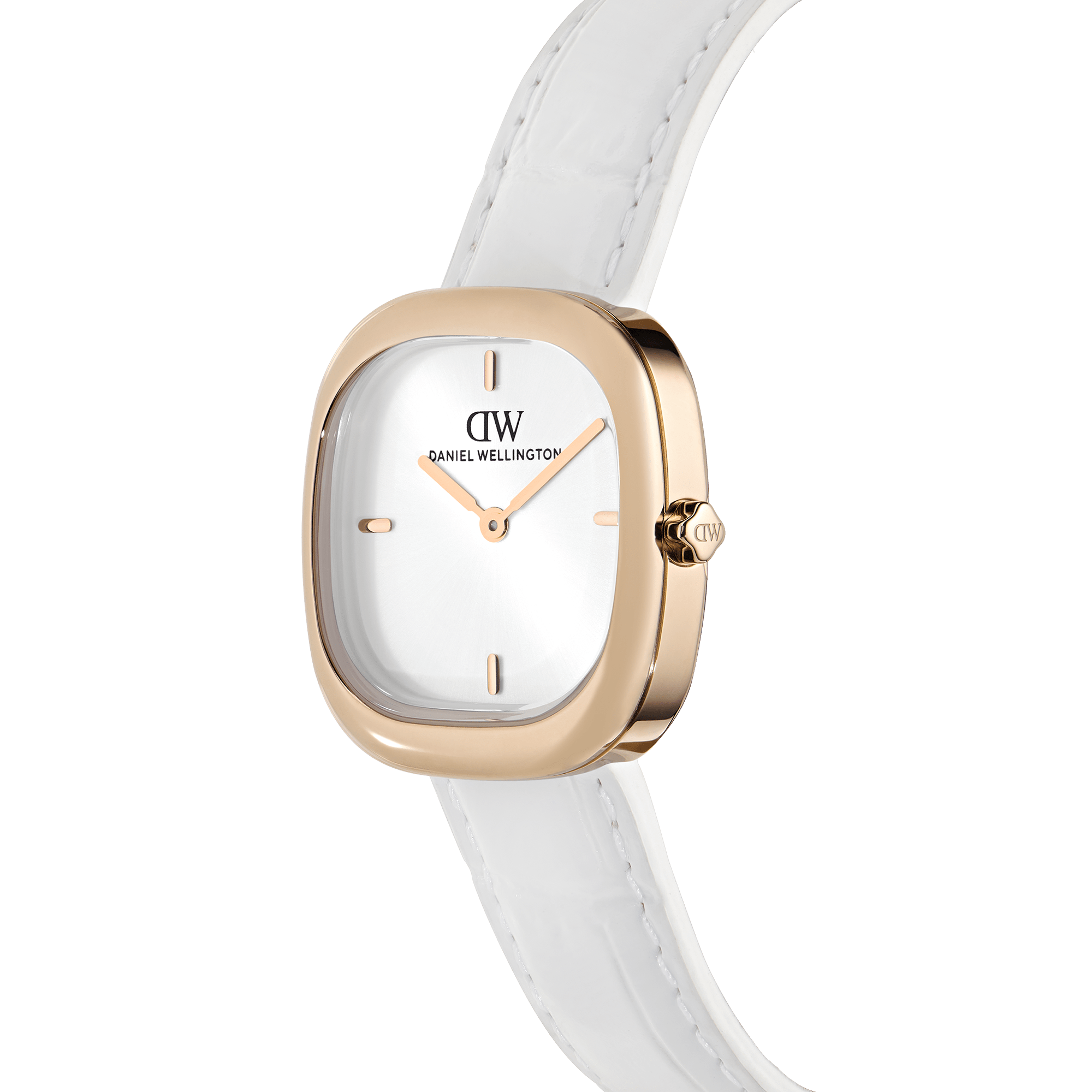 Daniel Wellington DW00100994 Women's Watch