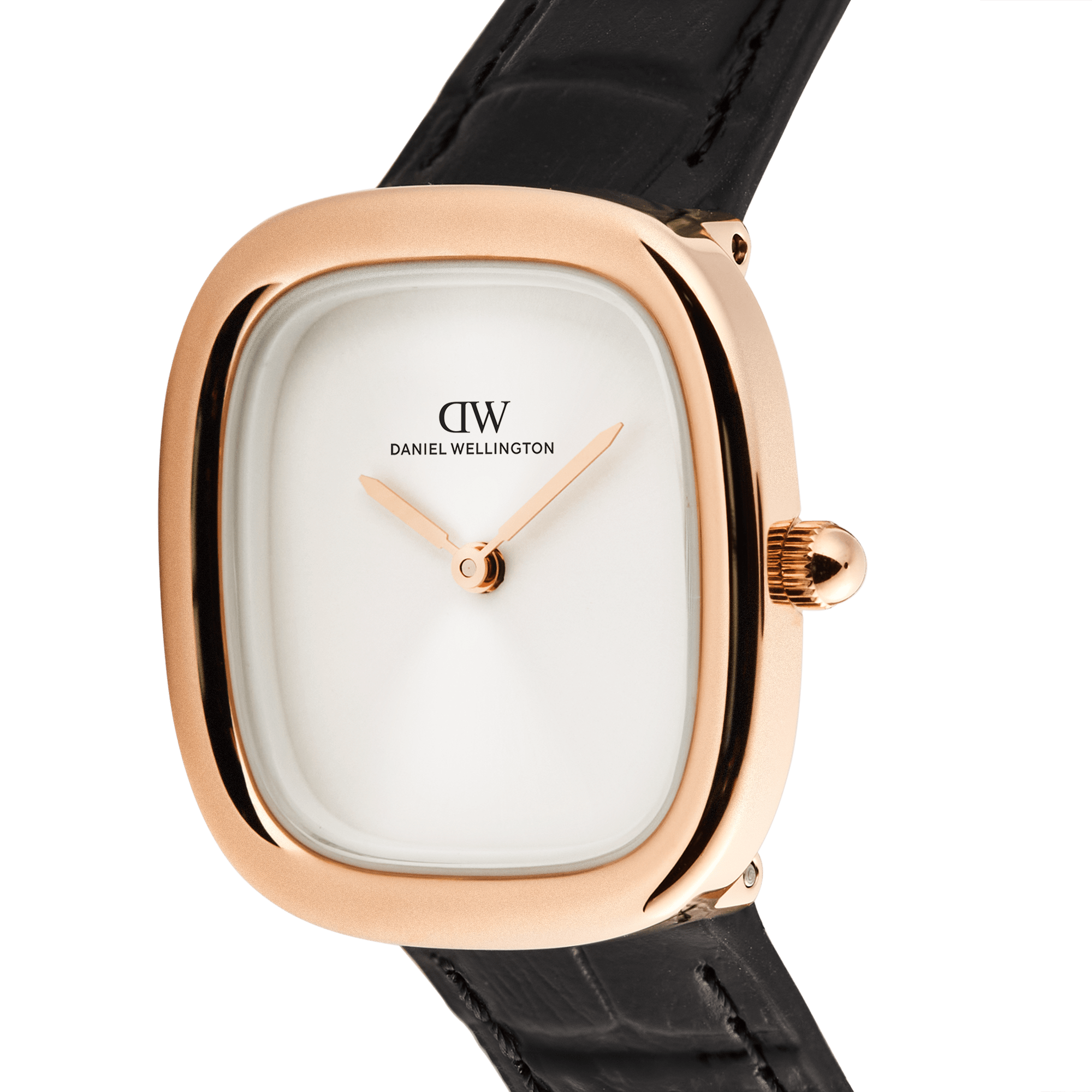 Daniel Wellington DW00100970 Women's Watch