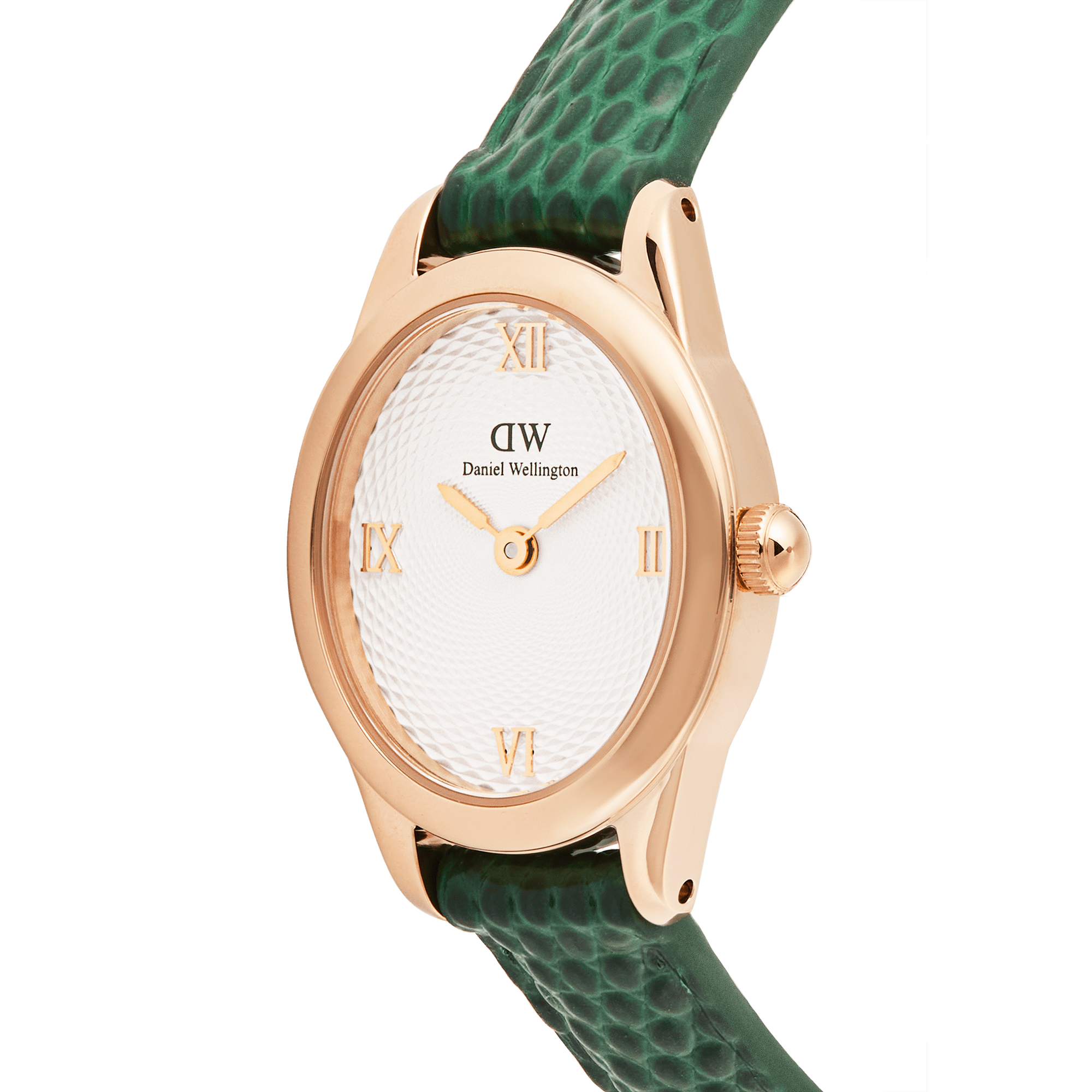 Daniel Wellington DW00100895 Women's Watch